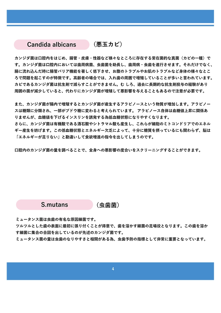 検査結果シート 4