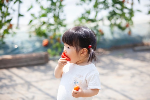 前歯でかじる子どもの画像｜子どもの口が弱っている！？親子でできるお口のトレーニング｜歯科医師会田の噛み合わせメディア-カムシル