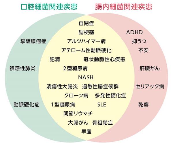 口腔細菌関連疾患と腸内細菌関連疾患の比較イラスト｜全身の健康を左右する「口腔内細菌」とは｜歯科医師会田の噛み合わせメディア-カムシル