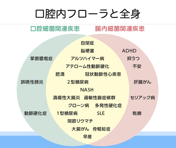 歯科医師会田の噛み合わせメディア〜カムシル〜｜皮膚科で治らないその症状、歯科医院で治る可能性も｜口腔内フローラと全身の相関図